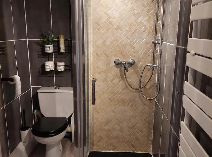 Mezzanine 6 Personnes Avec Balcon Vue Sur La Montagne * Cauterets